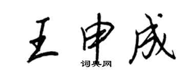 王正良王申成行書個性簽名怎么寫