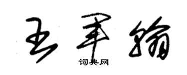 朱錫榮王軍翰草書個性簽名怎么寫