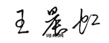 駱恆光王晨虹草書個性簽名怎么寫