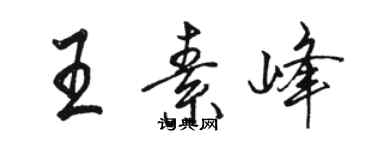 駱恆光王素峰行書個性簽名怎么寫