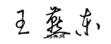 駱恆光王燕東草書個性簽名怎么寫