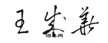 駱恆光王成華草書個性簽名怎么寫