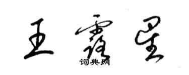 梁錦英王露星草書個性簽名怎么寫
