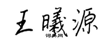 王正良王曦源行書個性簽名怎么寫