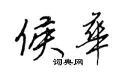 王正良侯華行書個性簽名怎么寫