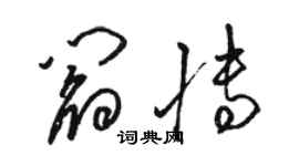 駱恆光閻博草書個性簽名怎么寫