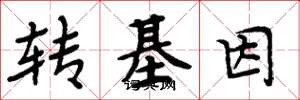 周炳元轉基因楷書怎么寫