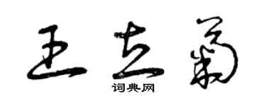 曾慶福王立菊草書個性簽名怎么寫