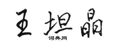 駱恆光王坦晶行書個性簽名怎么寫