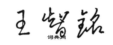 駱恆光王智銘草書個性簽名怎么寫