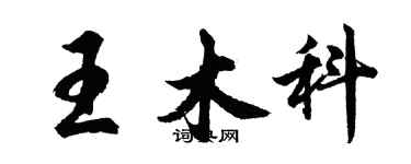 胡問遂王木科行書個性簽名怎么寫