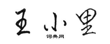 駱恆光王小里行書個性簽名怎么寫