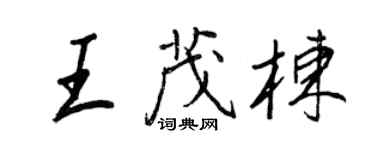 王正良王茂棟行書個性簽名怎么寫