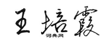 駱恆光王培霞行書個性簽名怎么寫