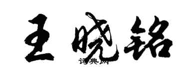 胡問遂王曉銘行書個性簽名怎么寫