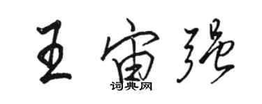 駱恆光王宙強行書個性簽名怎么寫