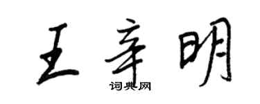 王正良王辛明行書個性簽名怎么寫