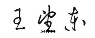 駱恆光王望東草書個性簽名怎么寫