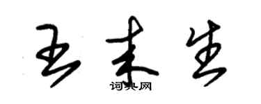 朱錫榮王來生草書個性簽名怎么寫