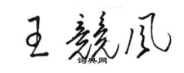 駱恆光王競風草書個性簽名怎么寫