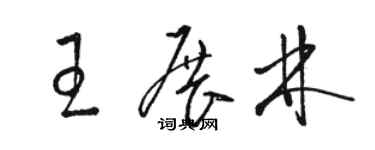 駱恆光王展林草書個性簽名怎么寫