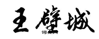 胡問遂王壁城行書個性簽名怎么寫