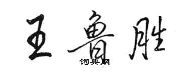 駱恆光王魯勝行書個性簽名怎么寫