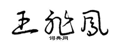 曾慶福王非鳳草書個性簽名怎么寫