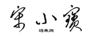 駱恆光宋小寶草書個性簽名怎么寫