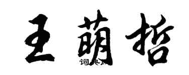 胡問遂王萌哲行書個性簽名怎么寫