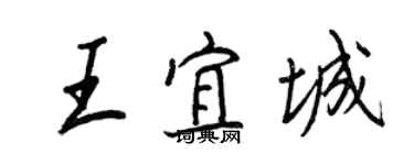 王正良王宜城行書個性簽名怎么寫