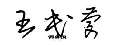 朱錫榮王民慶草書個性簽名怎么寫