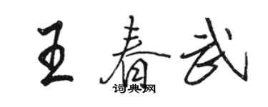 駱恆光王春武行書個性簽名怎么寫
