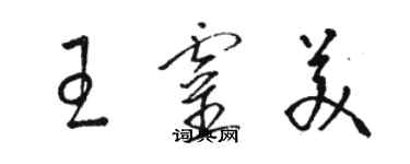 駱恆光王靈美草書個性簽名怎么寫