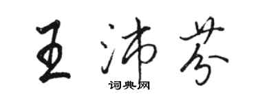 駱恆光王沛芬行書個性簽名怎么寫