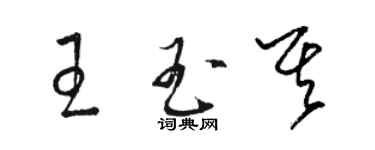 駱恆光王玉其草書個性簽名怎么寫