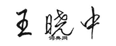 駱恆光王曉中行書個性簽名怎么寫