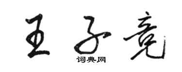 駱恆光王子競行書個性簽名怎么寫