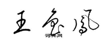 梁錦英王魯鳳草書個性簽名怎么寫