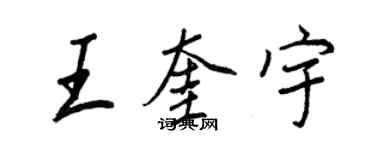 王正良王奎宇行書個性簽名怎么寫