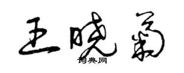 曾慶福王曉菊草書個性簽名怎么寫