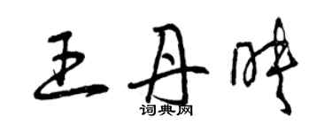 曾慶福王丹映草書個性簽名怎么寫