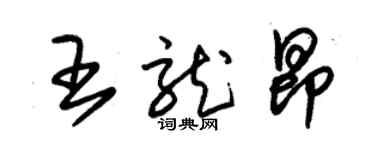 朱錫榮王龍昂草書個性簽名怎么寫