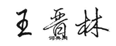 駱恆光王晉林行書個性簽名怎么寫