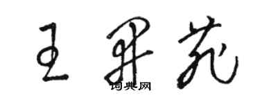 駱恆光王開菲草書個性簽名怎么寫