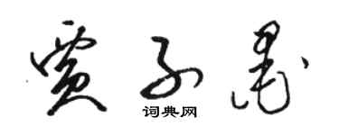 駱恆光賈子墨草書個性簽名怎么寫
