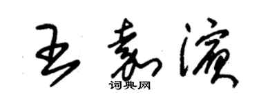 朱錫榮王嘉濱草書個性簽名怎么寫