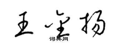 梁錦英王金揚草書個性簽名怎么寫