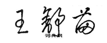 駱恆光王舒苗草書個性簽名怎么寫