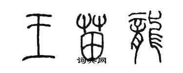 陳墨王苗龍篆書個性簽名怎么寫